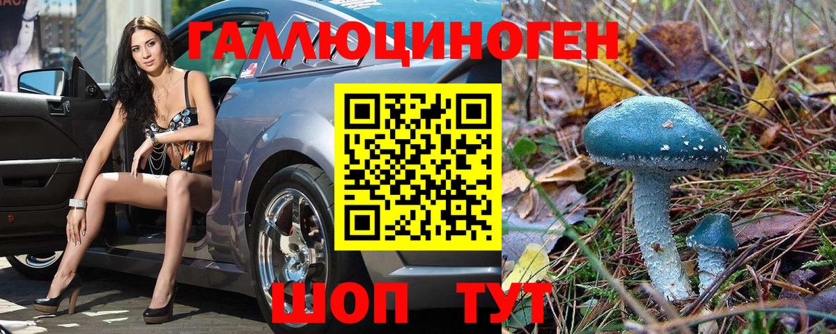 Великие Луки  Псилоцибиновые грибы GOLDEN TEACHER  Вход с VPN 